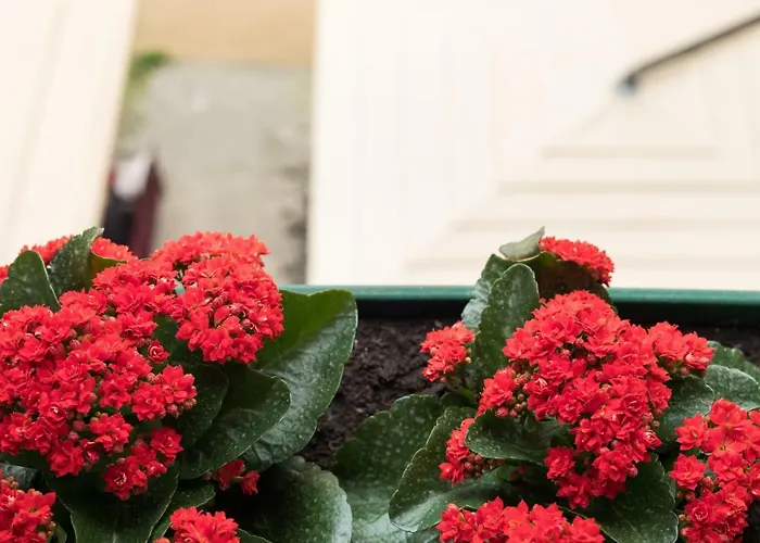 Imperator 4* 스플리트