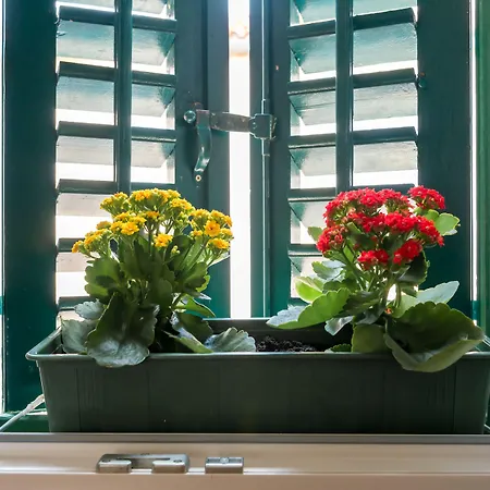 Imperator بيت ضيافة 4*