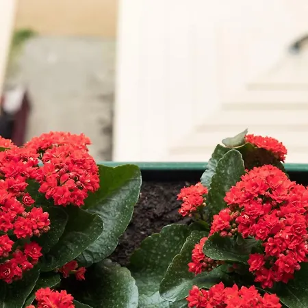 Imperator 4* スプリト