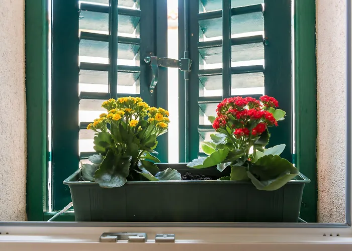 Imperator Gasthuis 4*